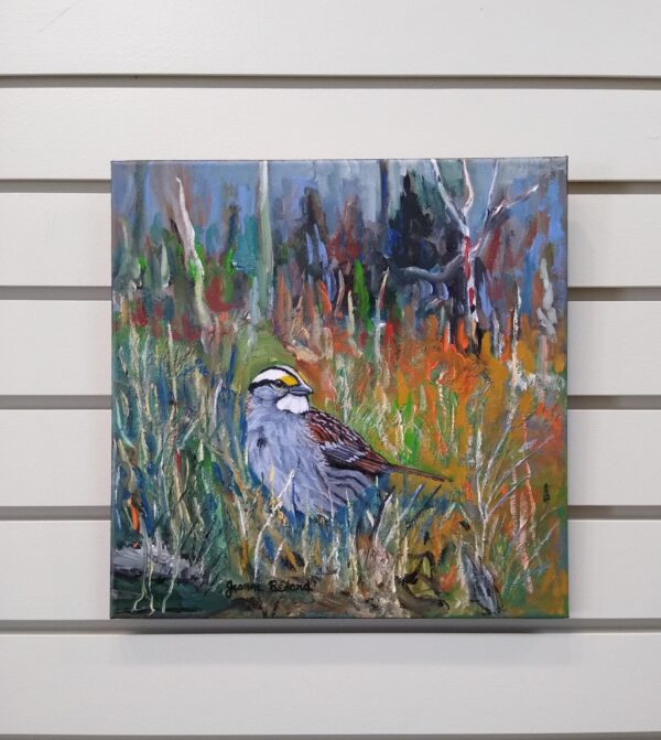 White Throated Sparrow