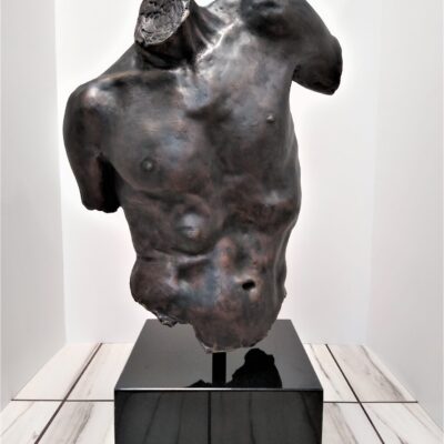 Male Torso - $ 18,000.00
(Contact Us Regarding Shipping Quote)