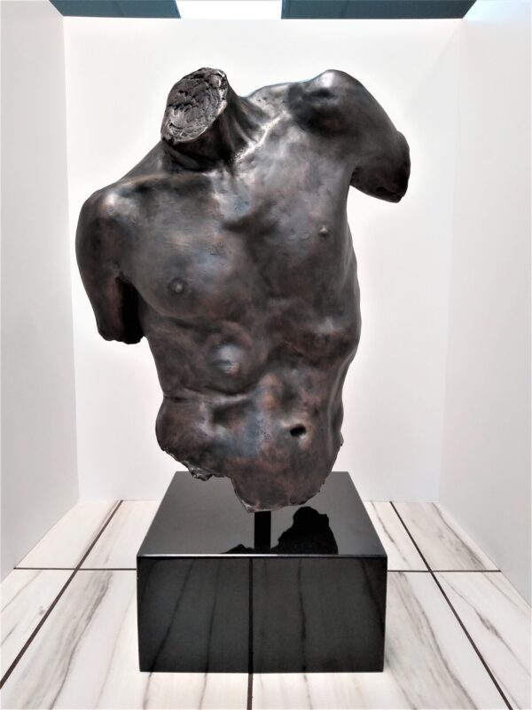 Male Torso - $ 18,000.00
(Contact Us Regarding Shipping Quote)